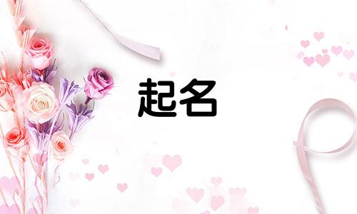 起名专用的字有哪些名字