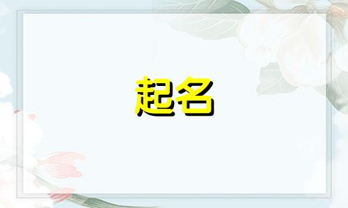 起名用的诗词成语有哪些