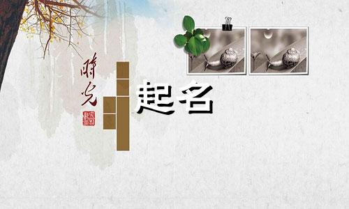 男宝起名有哪些字体好听