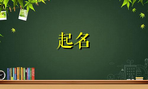 网络起名要求有哪些呢女生