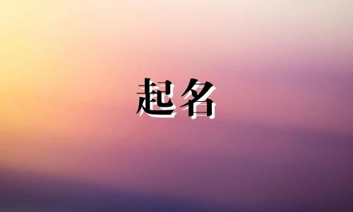 小猫起名注意事项有哪些