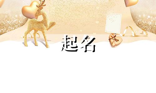 用国字起名公司有哪些名字
