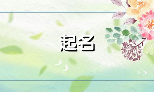 公司起名新材料有哪些好听
