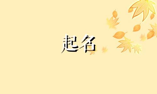 青岛原道路起名公司有哪些