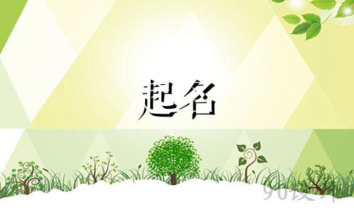 兔宝宝用哪些字起名好呢