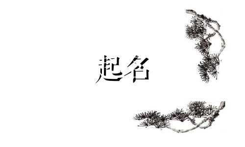 宁波公司起名代办机构有哪些