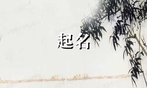起名的幸福生活有哪些
