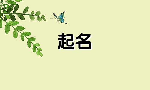 起名带窟窿的字有哪些