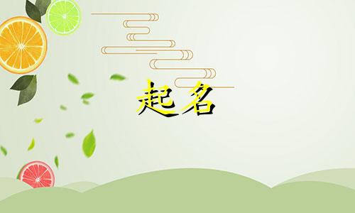 人工起名下载软件有哪些