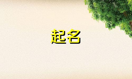 起名不想动脑的名字有哪些