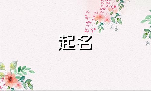 词语起名神器小程序有哪些