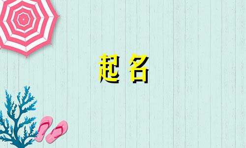 成功公司的起名特征有哪些
