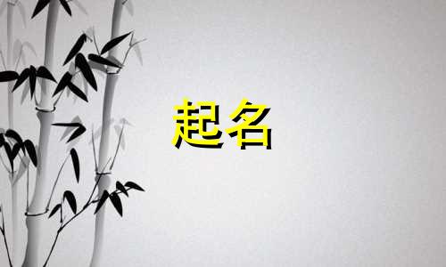 公司起名前要求有哪些规定