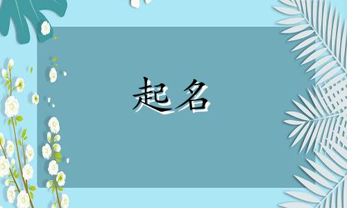 不会起名的雪字有哪些