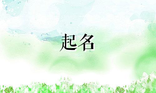 父母起名的浪漫名字有哪些