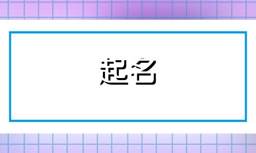 不起名的作品有哪些类型