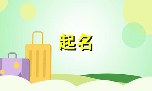 格斗公司起名网站有哪些