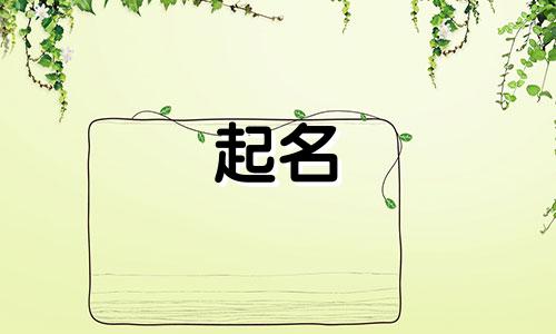 猪肉店起名方法有哪些菜