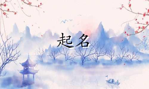 鸟起名的品牌有哪些呢