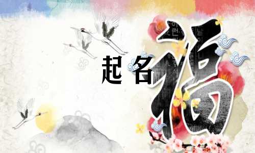 虎宝宝起名必用字有哪些