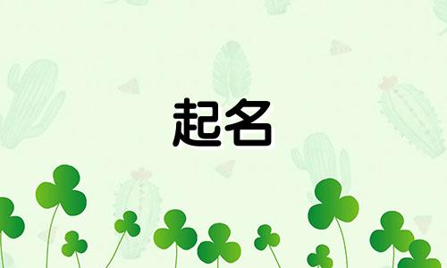 河北水漆厂家起名有哪些