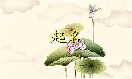 公司起名的学问有哪些内容