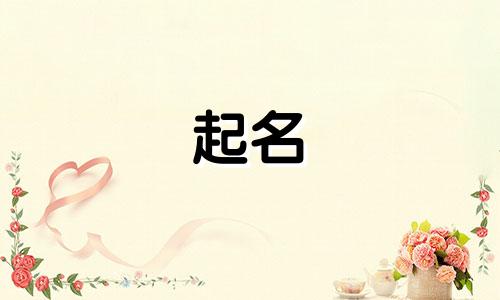 彝族人起名规则有哪些内容