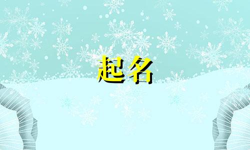 哪些汉字多用于起名的名字