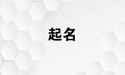 给鹦鹉起名软件有哪些名字