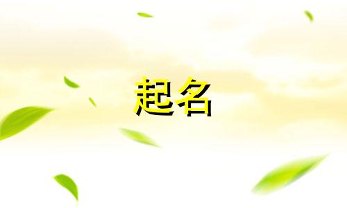 兔年起名宜用字有哪些名字