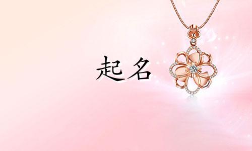 西藏品牌起名讲究哪些字母