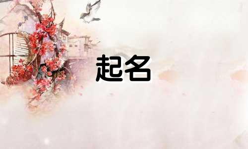 起名工具在线使用网站有哪些