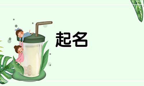 上海在线宝宝起名平台有哪些