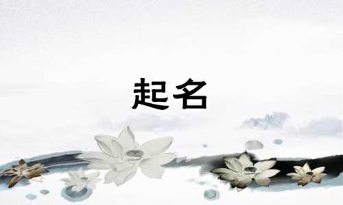 属马的起名选字有哪些