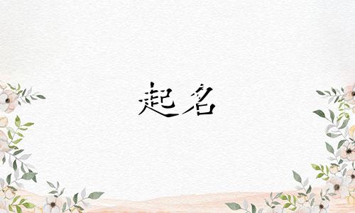 起名很多用的字有哪些