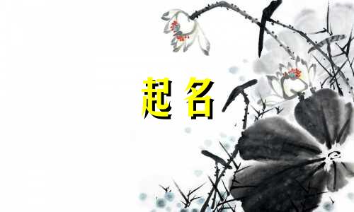戴姓女孩起名成语有哪些