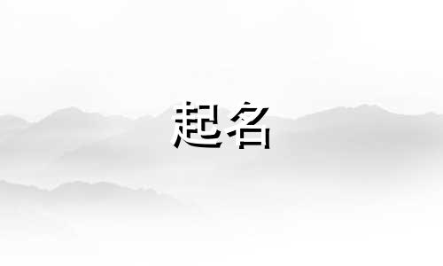 付费的起名软件有哪些呢