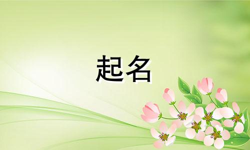 聂姓男孩起名有哪些名字
