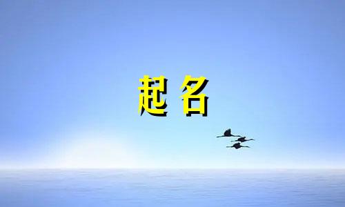生肖虎起名宜用哪些字