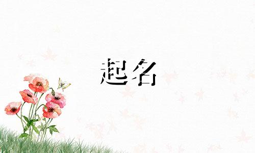 科学课程起名规则有哪些