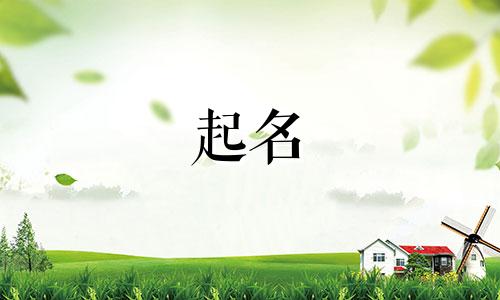起名看哪些书好听的书籍