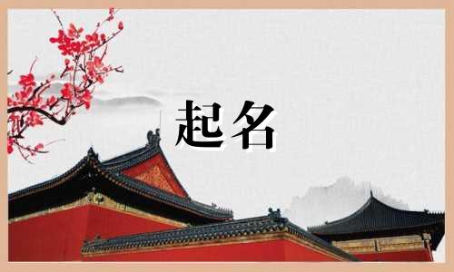 亚的后人从哪些字起名