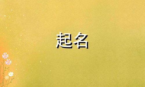 起名算命的书籍有哪些书
