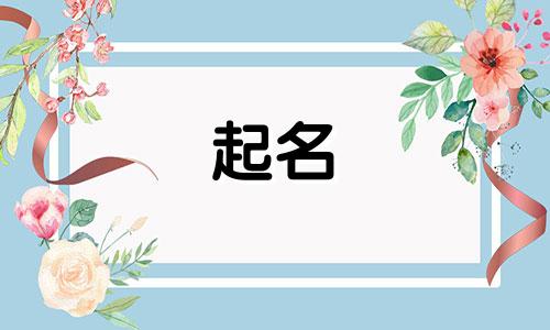 英文歌起名软件有哪些