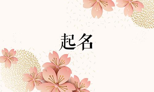 公司起名有哪些注意的地方