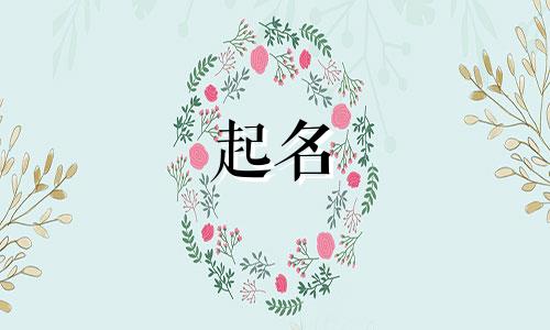 绿队起名和口号有哪些