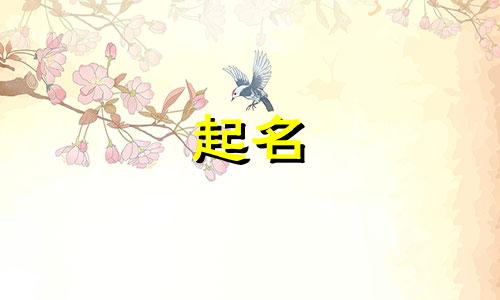起名看哪些书好写得多