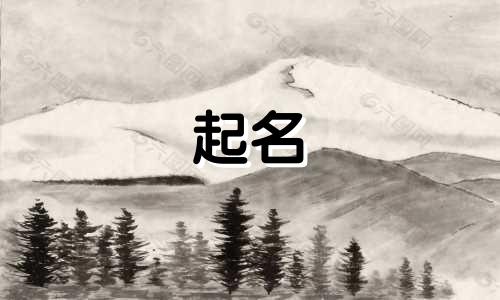 给猫起名的规律有哪些