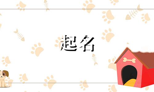 起名绰号搞笑女孩名字有哪些
