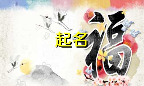 起名不用诗经的字有哪些